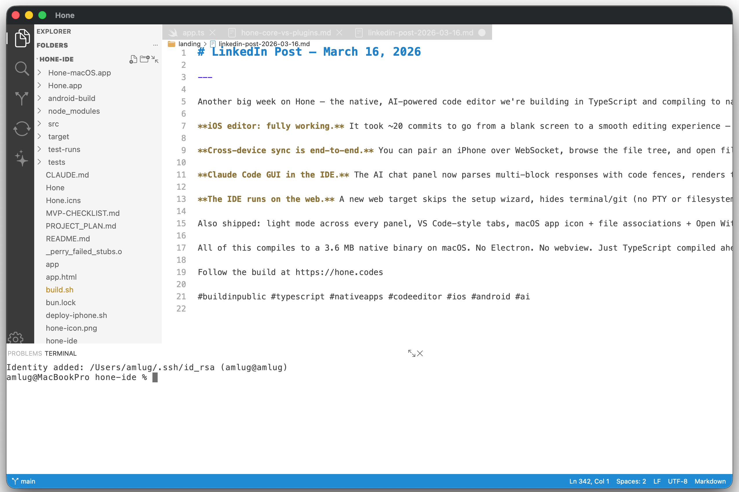 Hone IDE running on macOS — file explorer, editor with syntax highlighting, terminal, and tabs